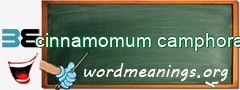 WordMeaning blackboard for cinnamomum camphora